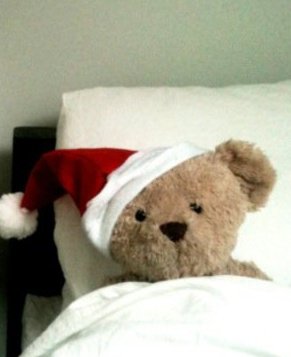 Misery Bear