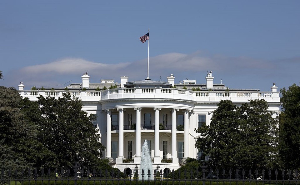 h1b